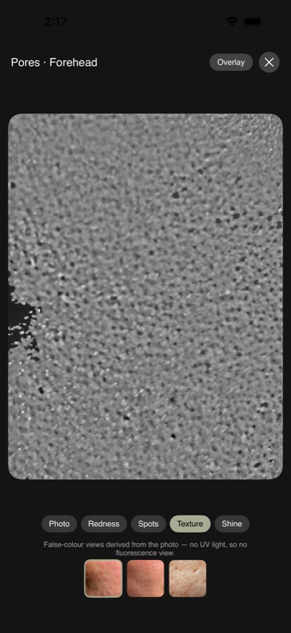A scan photo in the texture false-colour view.
